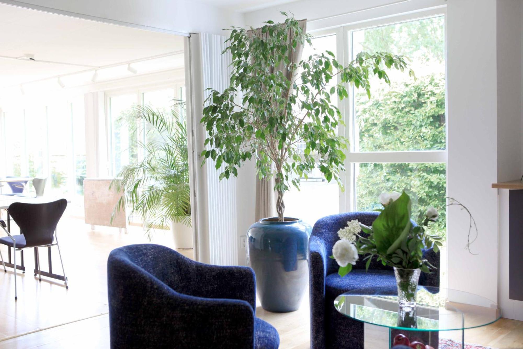 Agda Lund Bed & Breakfast Kivik Luaran gambar